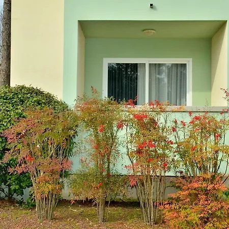 Colourful Seaside Flat With Pool On The Rooftop
